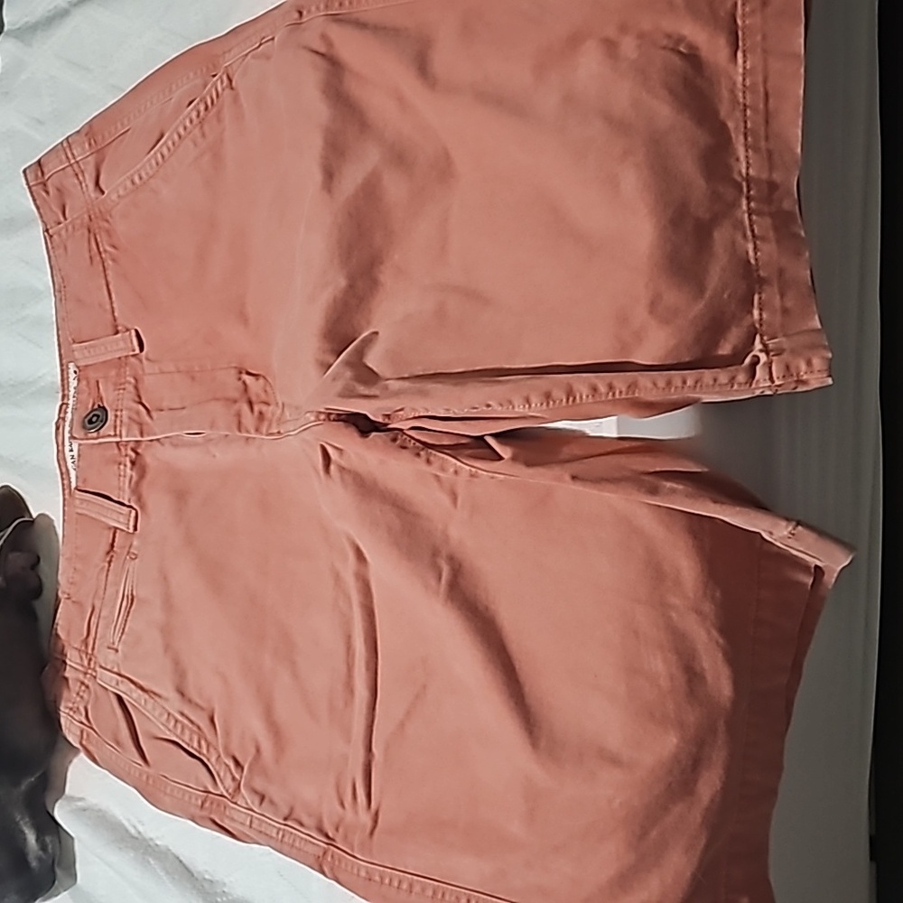 Size 30 mens American eagle shorts - Picture 2 of 4